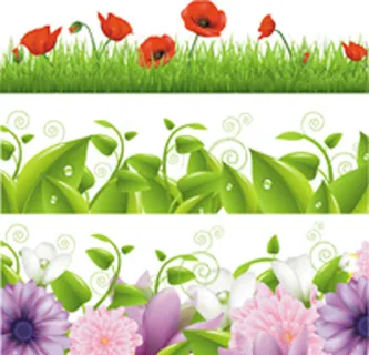 花卉植物边框背景