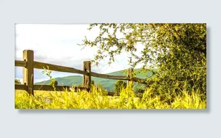 秋天的风景淘宝背景