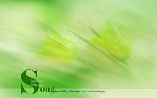 高清电脑桌面背景壁纸