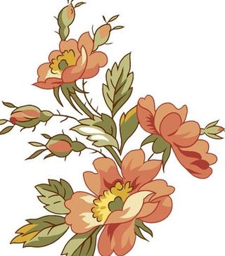 高清晰psd鲜花素材017