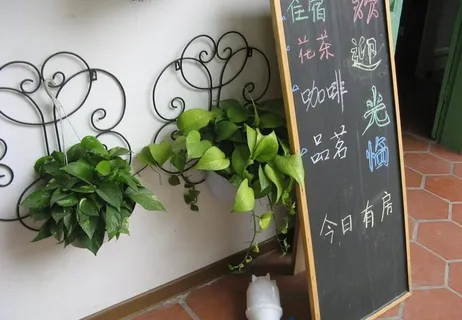 鼓浪屿 米米花园图片