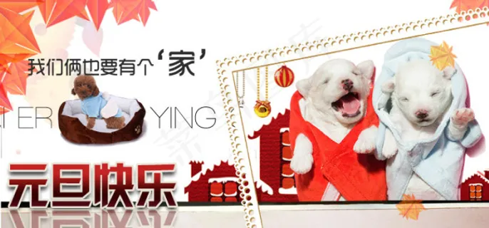 淘宝海报宠物贺元旦 淘宝海报宠物贺元旦