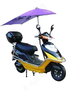 信仁牌 带伞 电动车图片 信仁牌 带伞 电动车图片