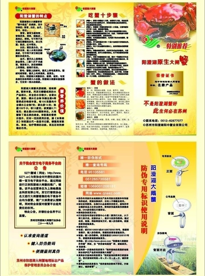 阳澄湖大闸蟹三折页图片cdr矢量模版下载