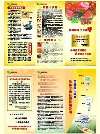 阳澄湖大闸蟹三折页图片