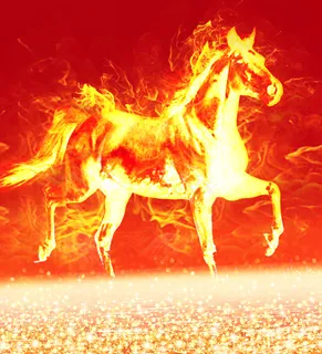 火马 火马