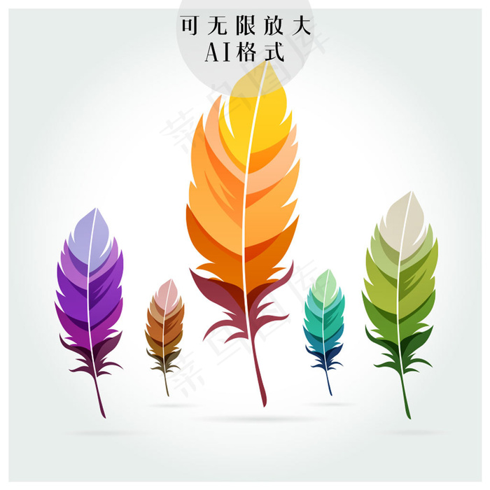 羽毛