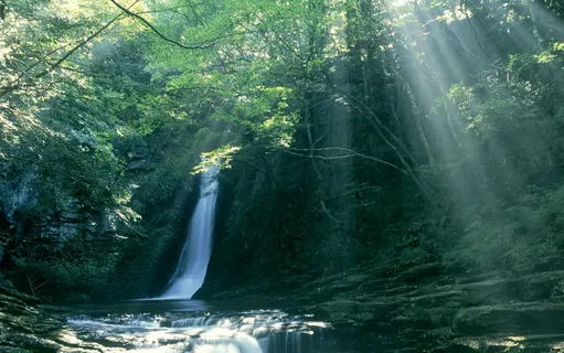 高清电脑桌面背景壁纸