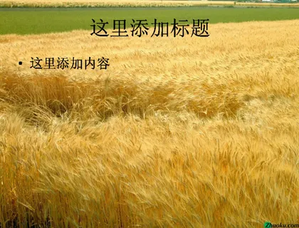 田野风光 田野风光