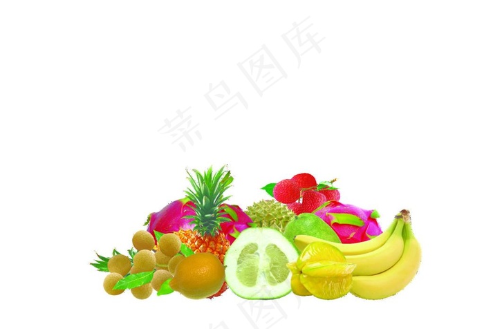 南方水果图片psd模版下载