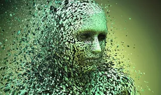 分化的人类图片