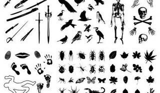 骨架叶昆虫的鸟类印剑剪影矢量