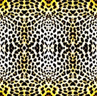 Leopard print pattern 