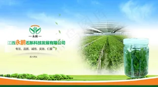 铁皮石斛种植企业网站