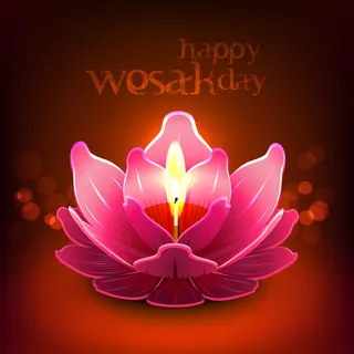 卫塞节矢量为莲花灯