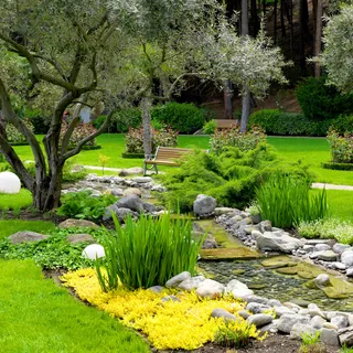 园艺植物风景 园艺植物风景