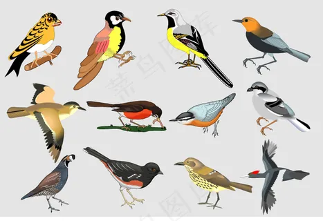 手绘小鸟矢量素材