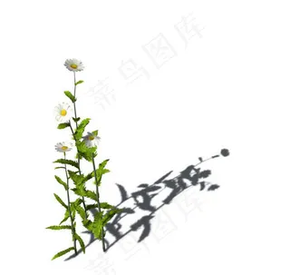 小型花卉植物3D模型免费下载，带材...