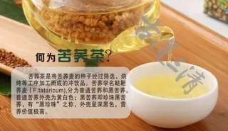 苦荞茶简介