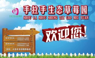 草莓基地欢迎您图片