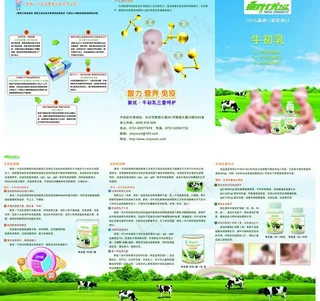 牛初乳三折页图片