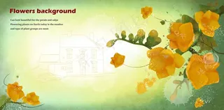 唯美鲜花浪漫背景