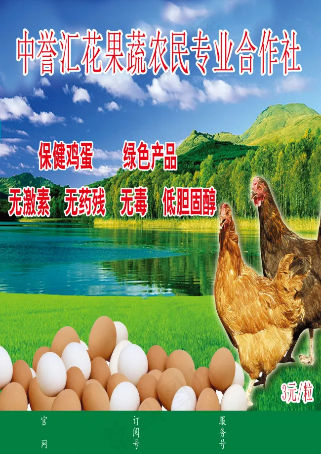 鸡蛋促销海报模板下载(2480X3508(DPI:300))psd模版下载