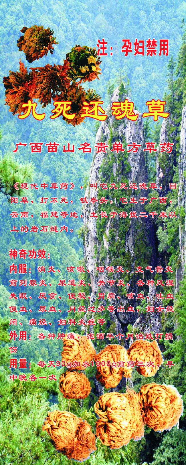 九死还魂草cdr矢量模版下载