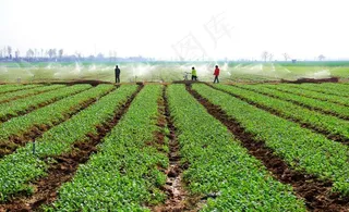 新型农业图片