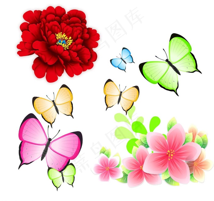 牡丹 蝴蝶 花朵图片