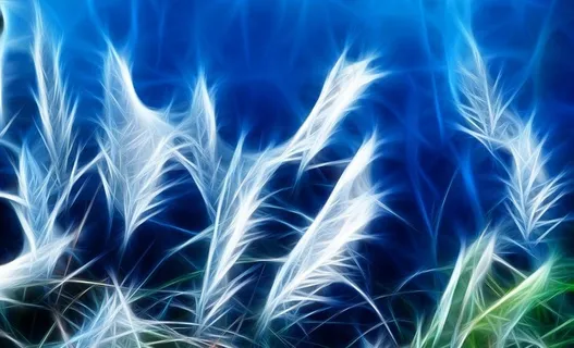 花卉特效图片 花卉特效图片