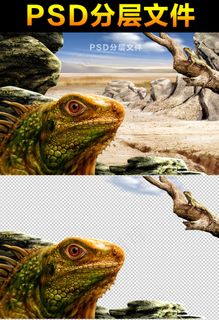 沙漠蜥蜴头像素材分层大图