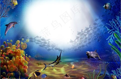 海底世界精品相框图片