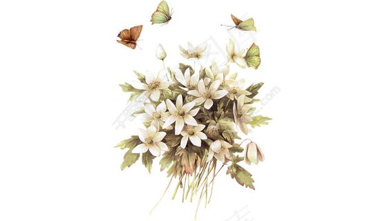 手绘花矢量图手绘花 春天唯美花簇蝴蝶