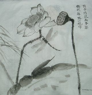 莲藕 荷花 蜻蜓图片