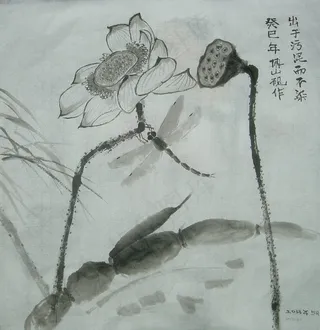 莲藕 荷花 蜻蜓图片