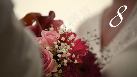 结婚开场AE模板片头下载