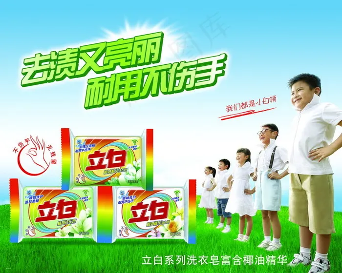 立白洗衣皂(3937X3150(DPI:100))psd模版下载