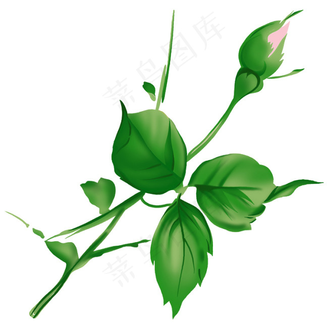 花蕾的PSD素材psd模版下载