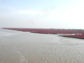 红海滩图片