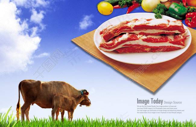 草地上的黄牛和盘子内的牛肉(4000X2600(DPI:300))psd模版下载