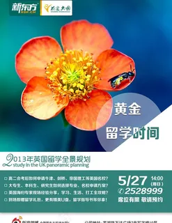 出国留学DM单海报