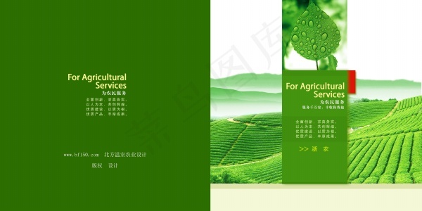 茶园画册