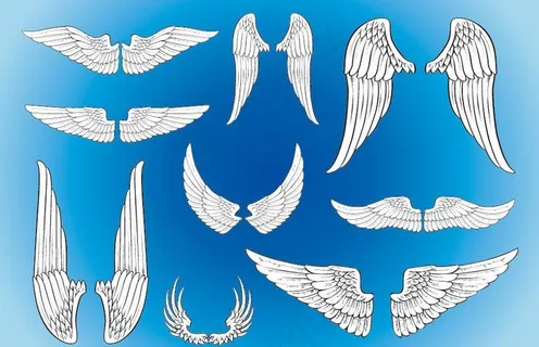 羽毛翅膀剪影图片