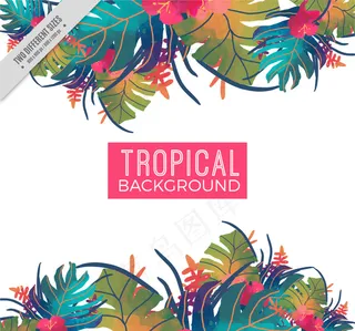 水彩热带树叶背景