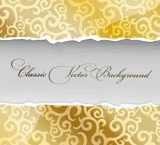 欧式花纹背景图片