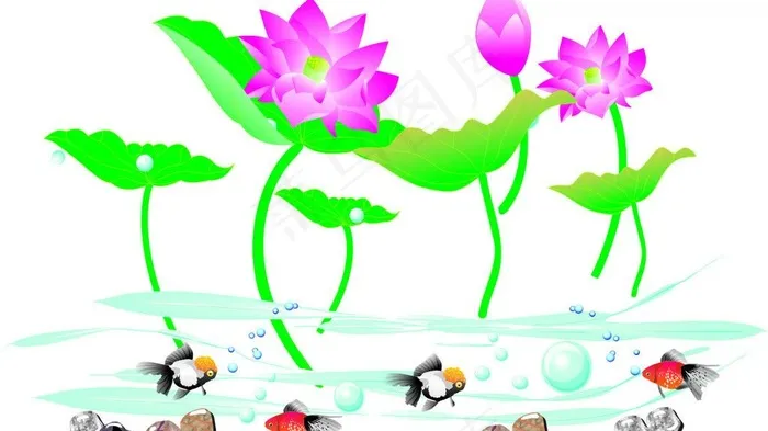 鱼戏莲中水图片cdr矢量模版下载