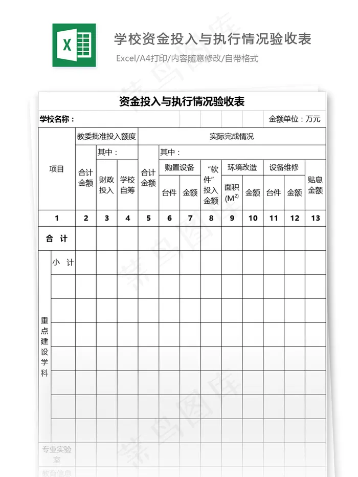 学校资金投入与执行情况验收表格