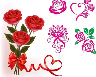 矢量玫瑰花图片