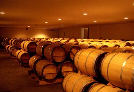 酒窖 葡萄地 橡木桶图片 酒窖 葡萄地 橡木桶图片